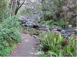 Stevensons Falls - Accommodation QLD 1