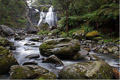 Stevensons Falls - Accommodation QLD 2