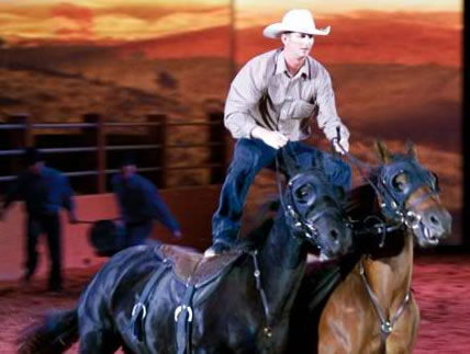 Australian Outback Spectacular - Accommodation QLD 1