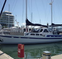 Coral Sea Dreaming Dive and Sail - Accommodation QLD
