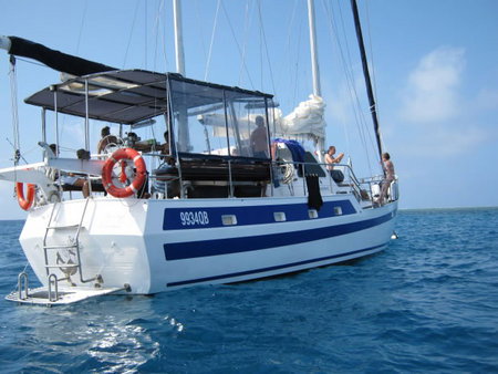 Coral Sea Dreaming Dive And Sail - Accommodation QLD 3