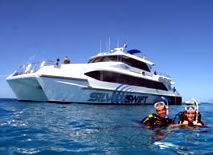 Silver Swift - Accommodation QLD 0