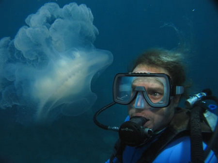 Silver Swift - Accommodation QLD 2