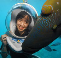 Sunlover Reef Cruises - Accommodation QLD