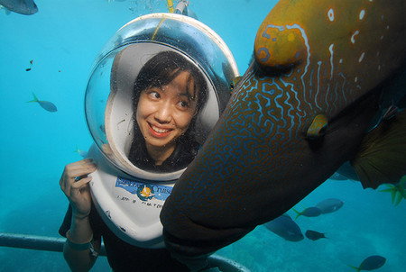 Sunlover Reef Cruises - Accommodation QLD 0