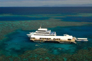 Sunlover Reef Cruises - Accommodation QLD 2