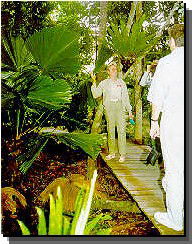 Daintree Rainforest River Trains - Accommodation QLD 1