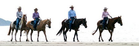 Wonga QLD Accommodation QLD