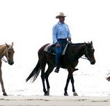 Ride the Beach - Accommodation QLD