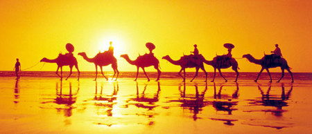 Banksia Adventures - Accommodation QLD 1