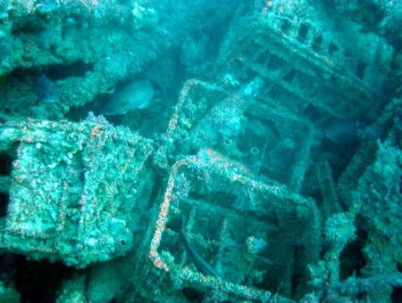 Underwater Sports Diving Centre - Accommodation QLD 0