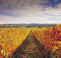 Link Tours - Accommodation QLD