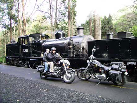 Andy's Harley Rides - Accommodation QLD 0