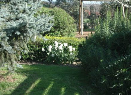 The Old Cheese Factory - Accommodation QLD 2