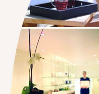Lyall Hotel and Spa - Accommodation QLD