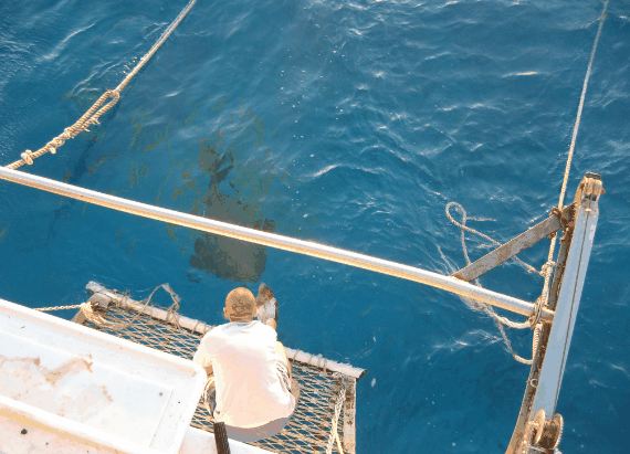 Carlo Fishing Charters - Accommodation QLD 4