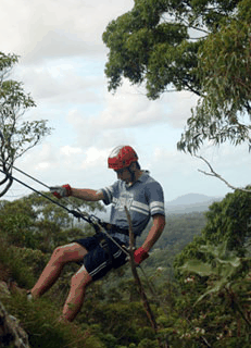 Adventures Around Brisbane - Accommodation QLD