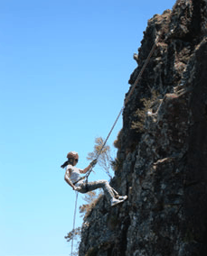 Adventures Around Brisbane - Accommodation QLD 1