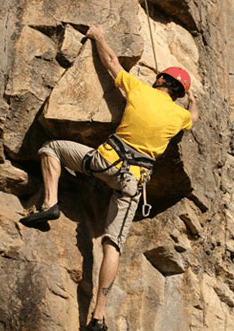 Adventures Around Brisbane - Accommodation QLD 3