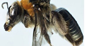 Western Australian Museum - Accommodation QLD 0