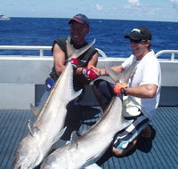 Blue Juice Charters - Accommodation QLD