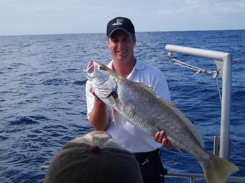 Blue Juice Charters - Accommodation QLD 1