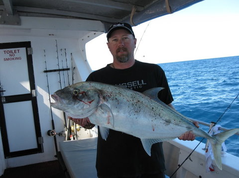 Blue Juice Charters - Accommodation QLD 3