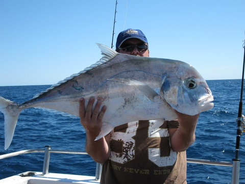 Blue Juice Charters - Accommodation QLD 4