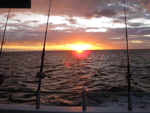 Blue Juice Charters - Accommodation QLD 5