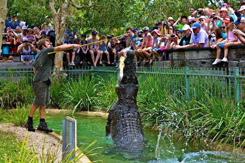 Australian Reptile Park - Accommodation QLD 4
