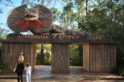 Australian Reptile Park - Accommodation QLD 5