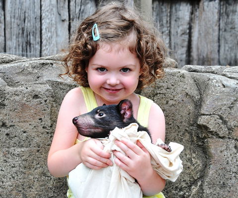 Australian Reptile Park - Accommodation QLD 8