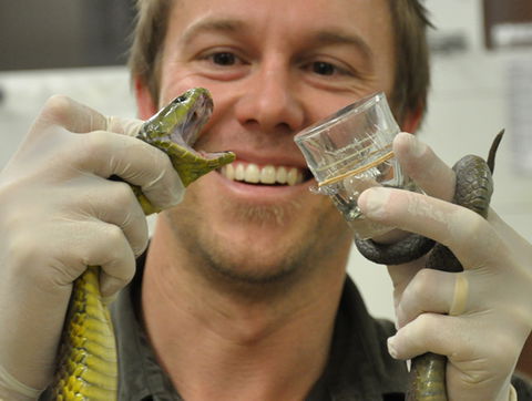 Australian Reptile Park - Accommodation QLD 9