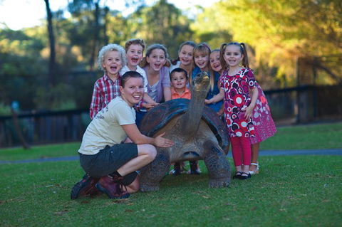 Australian Reptile Park - Accommodation QLD 11