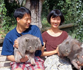 Birdland Animal Park - Accommodation QLD 5