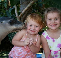 Dolphin Marine Magic - Accommodation QLD