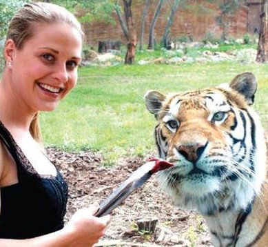 National Zoo & Aquarium - Accommodation QLD 4