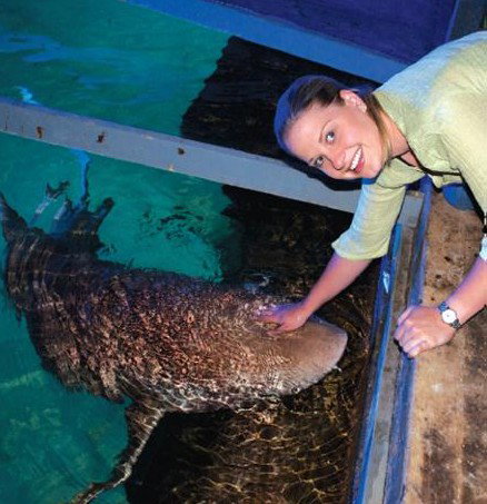 National Zoo & Aquarium - Accommodation QLD 7