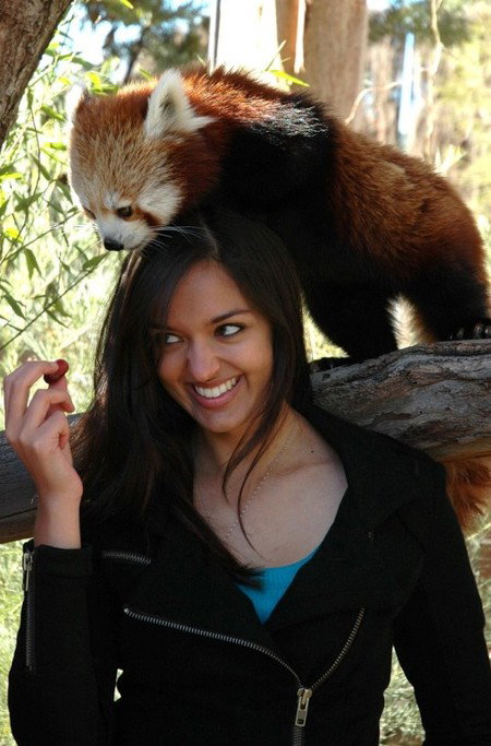 National Zoo & Aquarium - Accommodation QLD 8