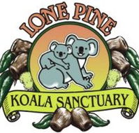 Lone Pine Koala Sanctuary - Accommodation QLD