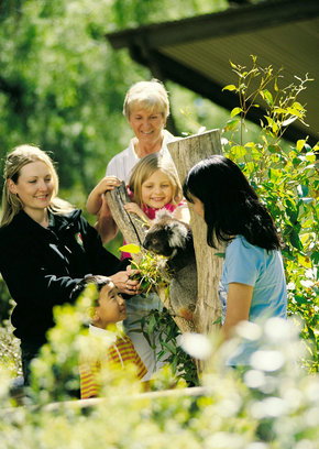 Cleland Wildlife Park - Accommodation QLD 5
