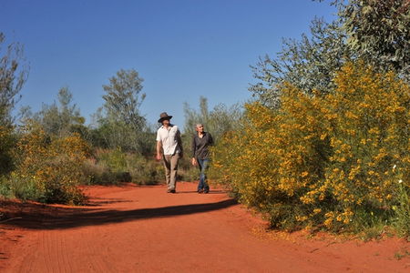 Alice Springs Desert Park - Accommodation QLD 3