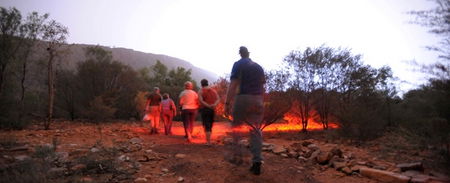 Alice Springs Desert Park - Accommodation QLD 4