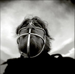 Australian Centre For Photography - Accommodation QLD 3