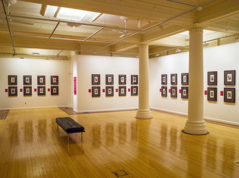 Cairns Regional Gallery - Accommodation QLD 2