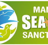Manly SEA LIFE Sanctuary - Accommodation QLD