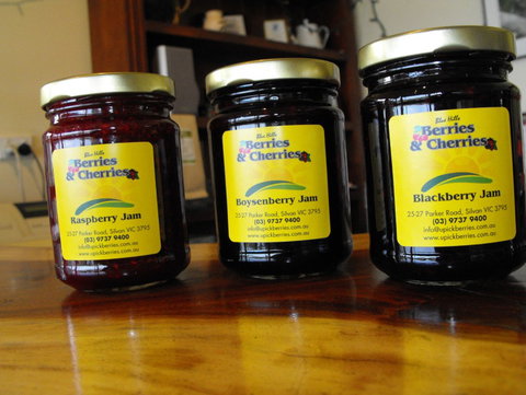 Blue Hills Berries & Cherries - Accommodation QLD 1