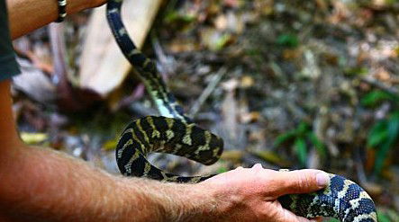 Queensland Day Tours - Accommodation QLD 1