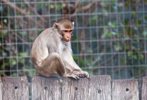 Darling Downs Zoo - Accommodation QLD 5