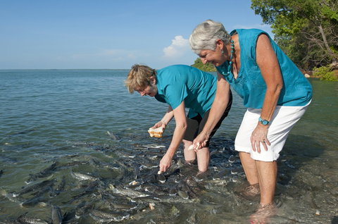 Aquascene Fish Feeding Sanctuary - Accommodation QLD 0
